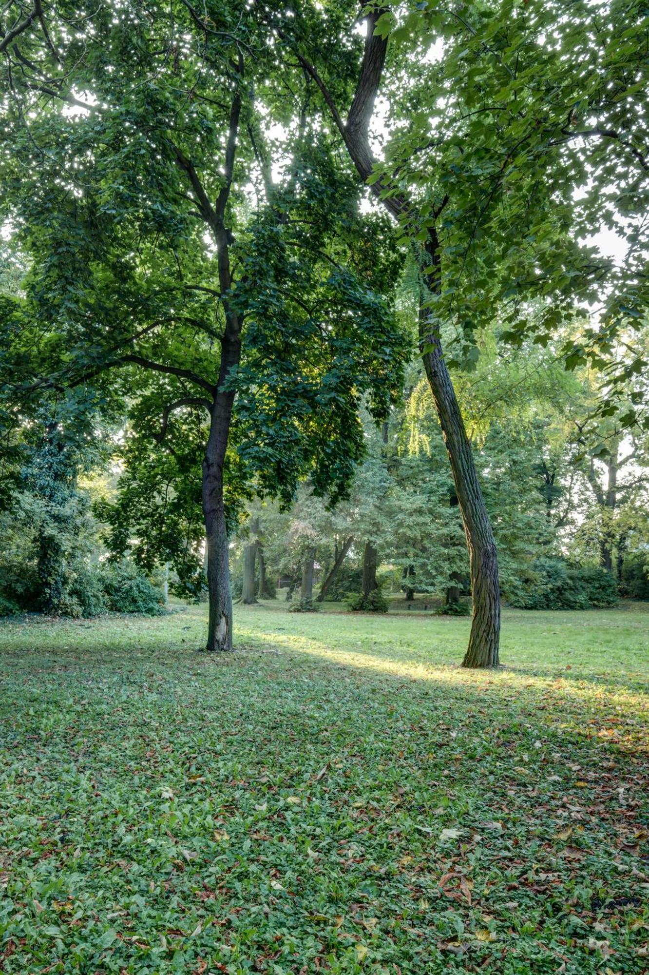 Vila Austerlitz Buitenkant foto